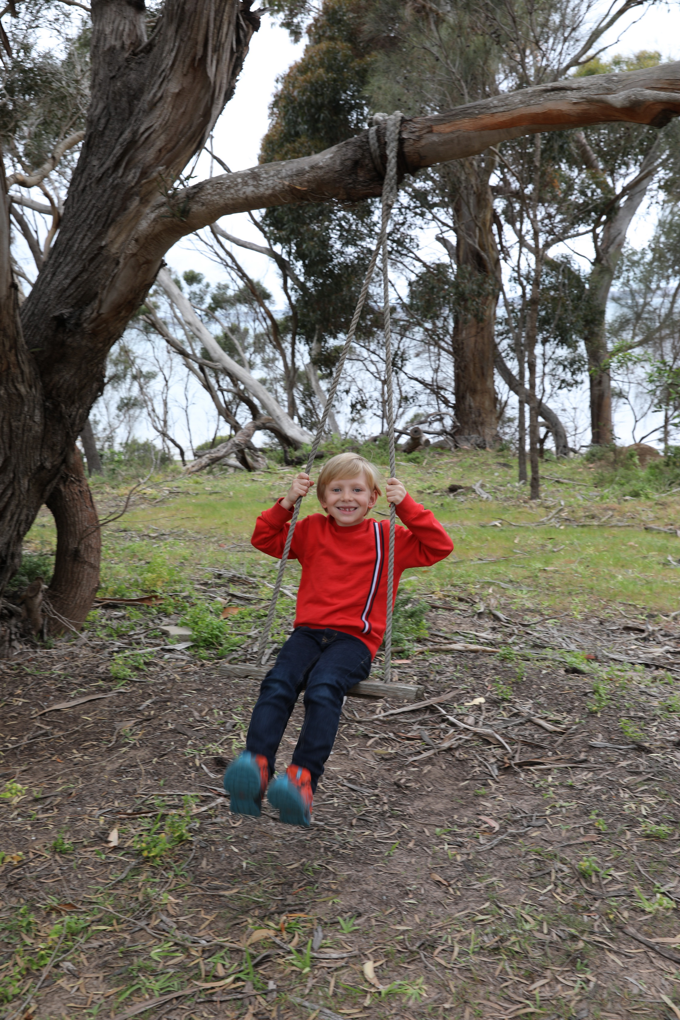 2019 10 06 13 01 54 Canon EOS 5D Mark IV 0001